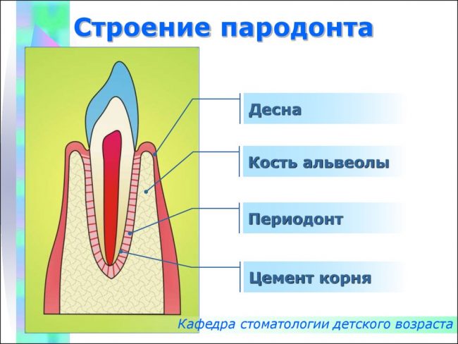 Презентация болезни пародонта